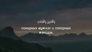 Сура:33 Аль-ахзаб ( союзники)
