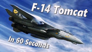 Everything You Need to Know About the US Navy&#39;s F-14 Tomcat in 60 Seconds | #shorts