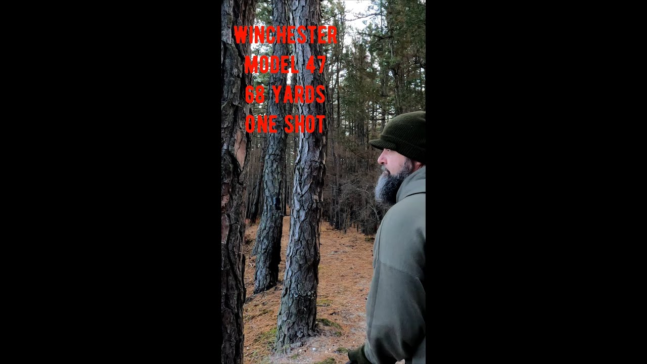 ALL the Tings #trapping #2023season #yankeefree #ting #nj #youtuber #shortvideo #shorts #winchester