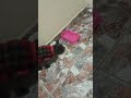 Hora do jantar...
