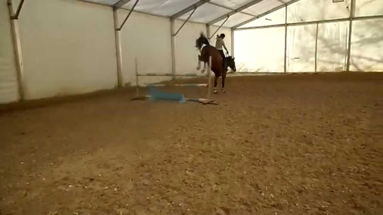 SAM 0467 - YouTube