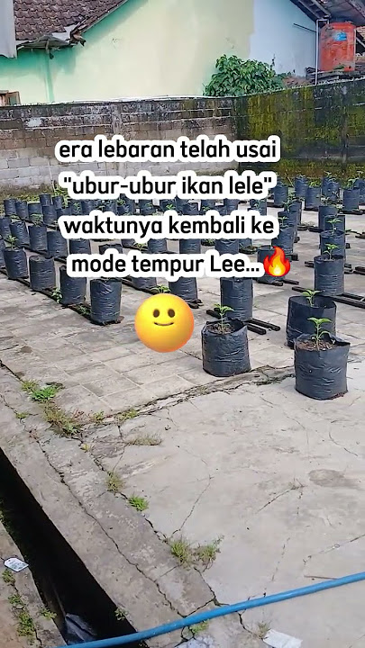 era lebaran telah usai #foryou #storywa #statuswa