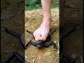 Survival Skills: Useful and Claver #outdoors #survival #campfire #bushcraft