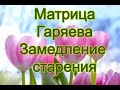 Мощное Омоложение организма Матрица Гаряева. Matrix of Gariaev Deceleration of aging