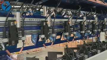 HAOYU scaffold ringlocks automatic welding machine