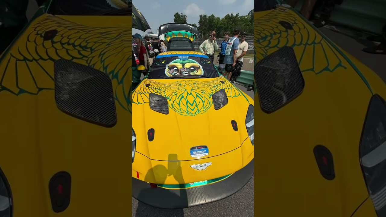 Summer racing recap. #porsche #nascar #indycar #imsa