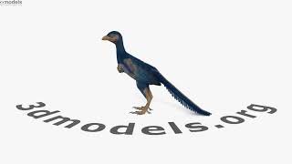 Archaeopteryx 3D model by 3DModels.org