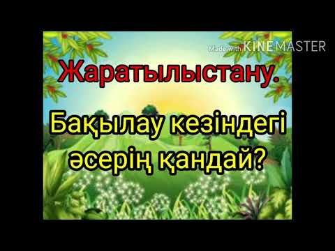 Бейне: Ауладағы жабайы табиғатты бақылау – бақшалардағы жануарлардан қалай қауіпсіз рахат алуға болады