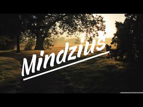 R3hab & Trevor Guthrie vs. VINAI - Soundwave (Mindzius Edit)