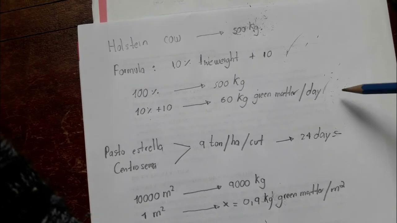 how-to-calculate-the-stocking-rate-in-a-hectare-youtube