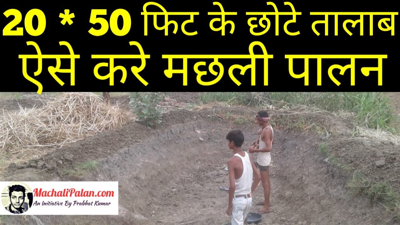 chote se talab mein machli palan kaise kare | prabhat kumar - fisheries expert