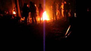 Hallucinogenic Horses Live At Kiev Part2