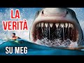 I fatti sugli squali vi faranno pensare due volte a nuotare nell'oceano