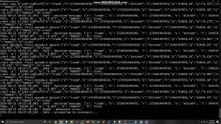 Binance WebSocket Client for Real-Time Trade Data