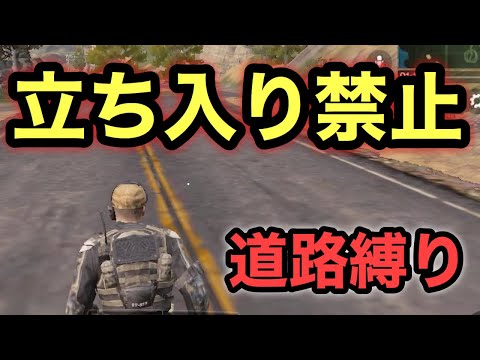 【CoDモバイル】バトロワで道路しか歩けない縛りやったら鬼畜すぎたw【CoD Mobile】天ぱくん
