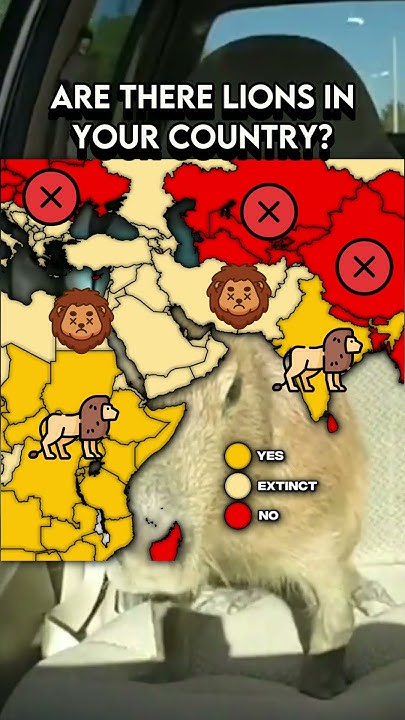are-there-lions-in-your-country-shorts-viral-edit-mapping