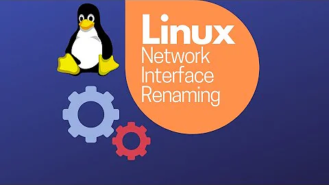 Linux Network Interface Renaming