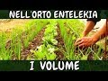 1° Volume INTEGRALE Documentario ORTO Entelekia Alessandro Montelli CAMPOMADRE Agriculture Evolutive