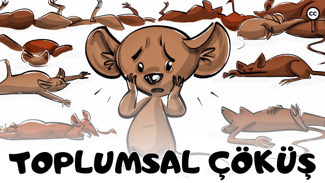 Hiç Çalışmak Zorunda Kalmasaydık ? | Mükemmel Dünya Deneyi