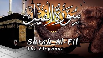 Surat Al Fil The Elephant   Mishary Rashid Alafasy   مشاري بن راشد العفاسي   سورة الفيل 2