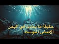 ارتفاع حرارة البحر الأبيض المتوسط هل يهددنا بكوارث ارتفاع حرارة البحر الأبيض المتوسط هل يهددنا بكوارث