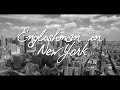 Sting Englishman In New York Lyric Video