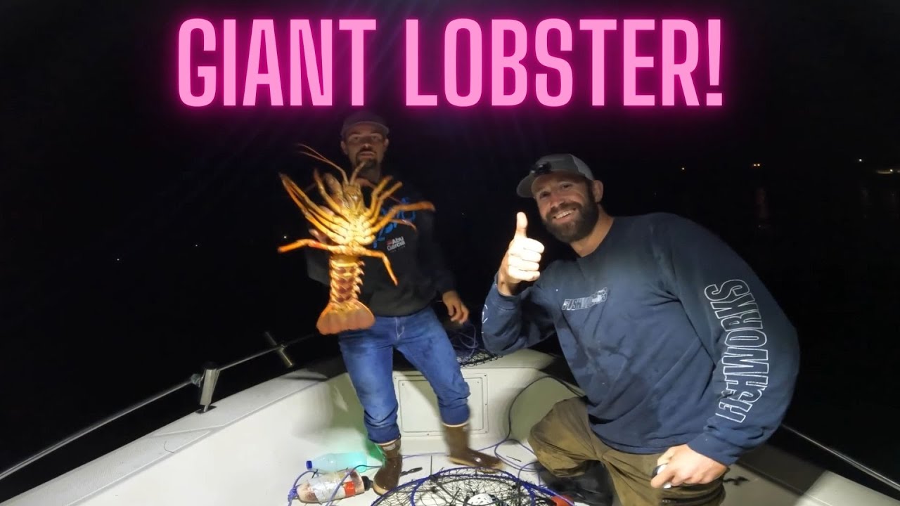 Giant LOBSTER caught!, San Diego