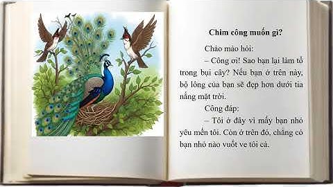 Bài 13D: Chim công TV 1 cùng học để phát triển năng lực