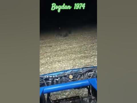 Робота . Дикі свині. - YouTube