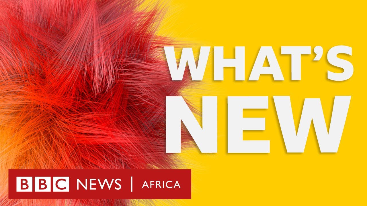 bbc news kashmir BBC Africa: What's New? (Episode 65)