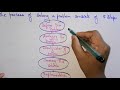 Problem solving  artificial intelligence  lec9  bhanu priya