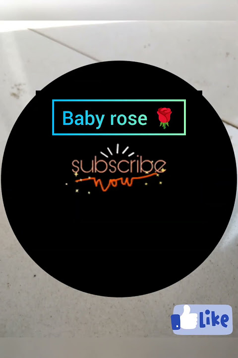 #clay art#  # rabbit 🐇#   clay #rat 🐁# and #clay #bottle