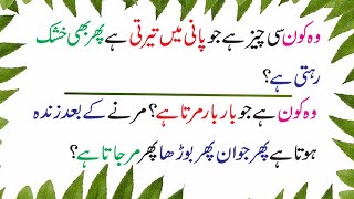 Zehni Azmaish || Urdu English sawal jawab || brain test || General Knowledge screenshot 2