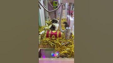 A Cute Grand Prize in the claw machine Part 22 #clawmachine #arcade #prize