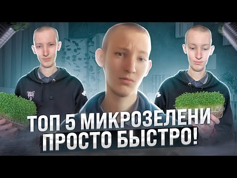 Просто и быстро! Топ 5 быстрой, простой и дешевой микрозелени!