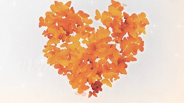 INTRO WEDDING - Project Wedding After Effect - Part 2