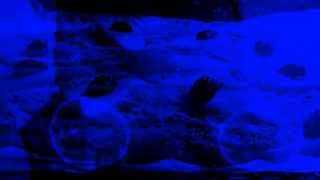 Stefan Gubatz - Vitamin