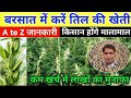 बरसात मे करे तिल की खेती होगा लाखो का मुनाफा #facts #tranding #farming #agriculture #til
