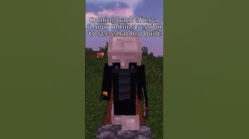 Coming back after a 6 hour mining session to see what bro built...  #minecraft #minecraftshorts