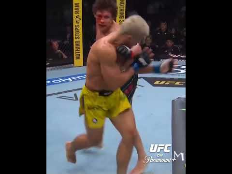BRUTAL KD By Kopylov #ufc328