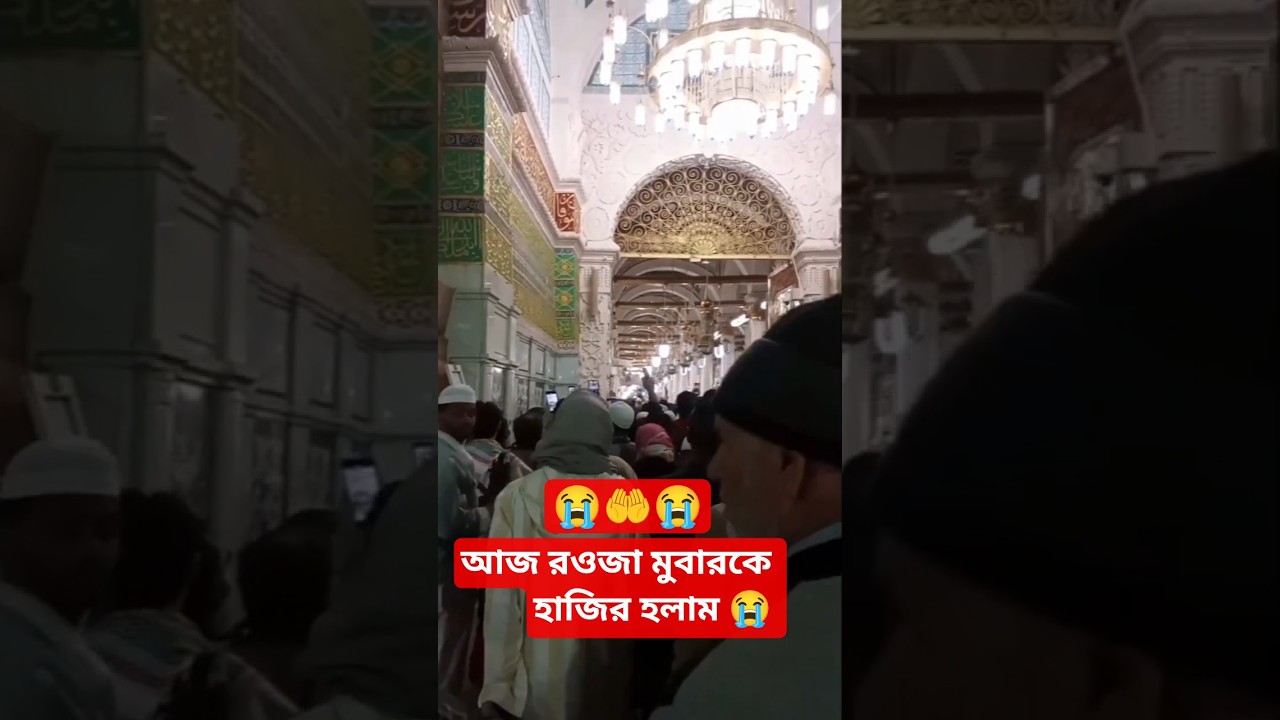 আজ রওজা মুবারকে হাজির হলাম &ndash; চোখে পানি, মনে শান্তি 😭 roza rasool ki ziyarat | Madina sharif Saudi