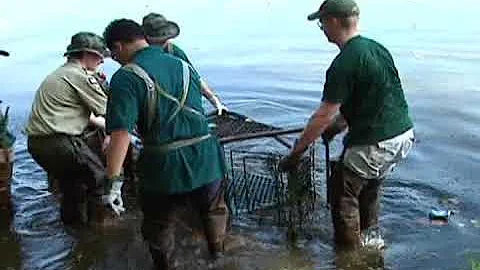 Timezones 2: Unit 12   Coastal Cleanup   Page 127