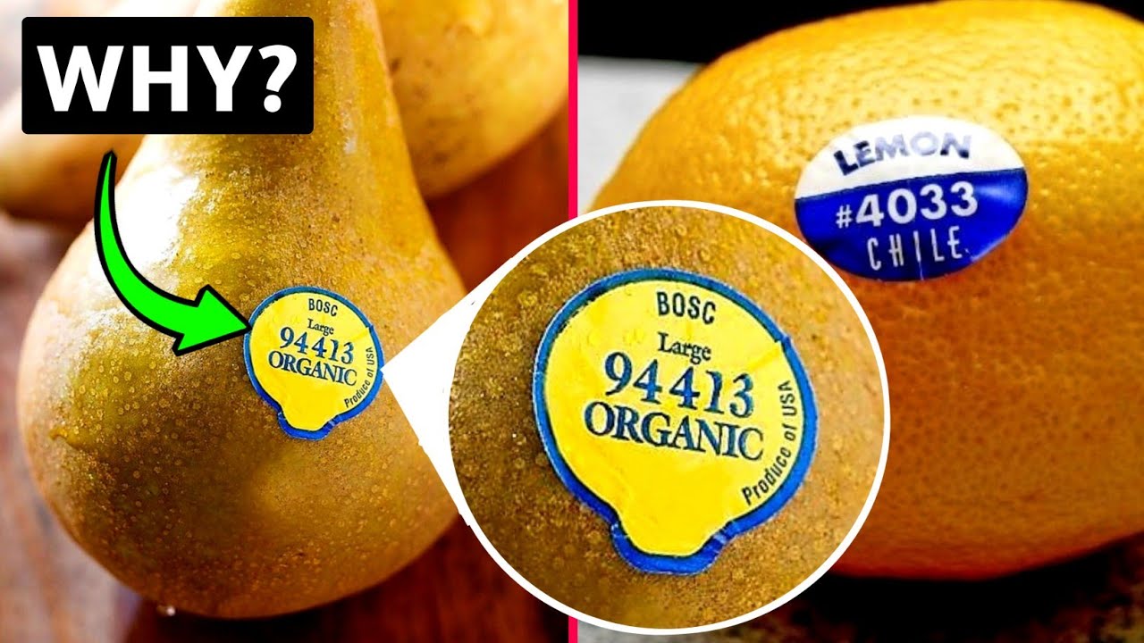🤔 Why Do Fruits Have Stickers? food health education YouTube