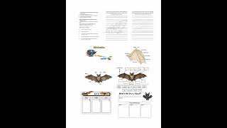 BATS