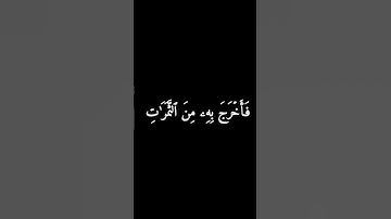 كروما سوداء سورة البقرة #فارس_عباد