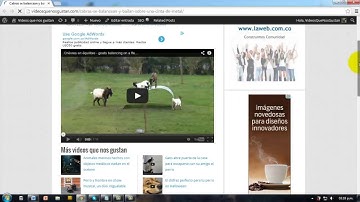 Como insertar un video de Youtube en tu blog en Wordpress