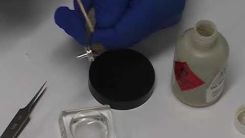 SEM: Mounting Bulk Samples