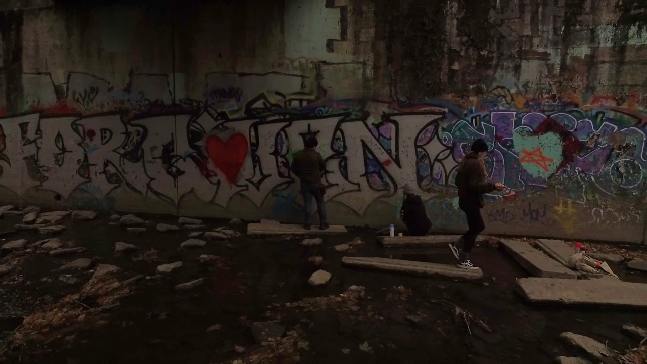 Angel10 | "LaBagh Woods" - Chicago, IL