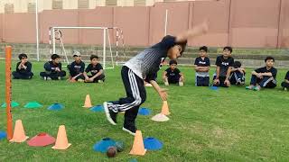 Wica International Cricket Academy