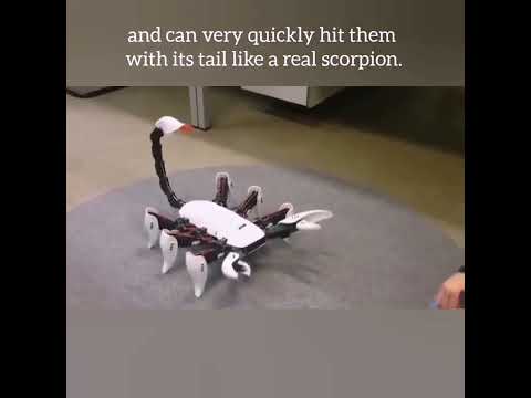 صناعه عقرب روبوت  